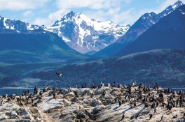 Patagonie a Ohňová země - Argentina - Patagonie